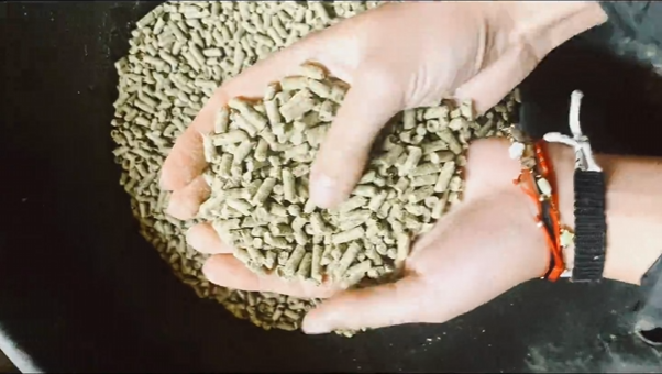 Blue Ribbon Basic Video