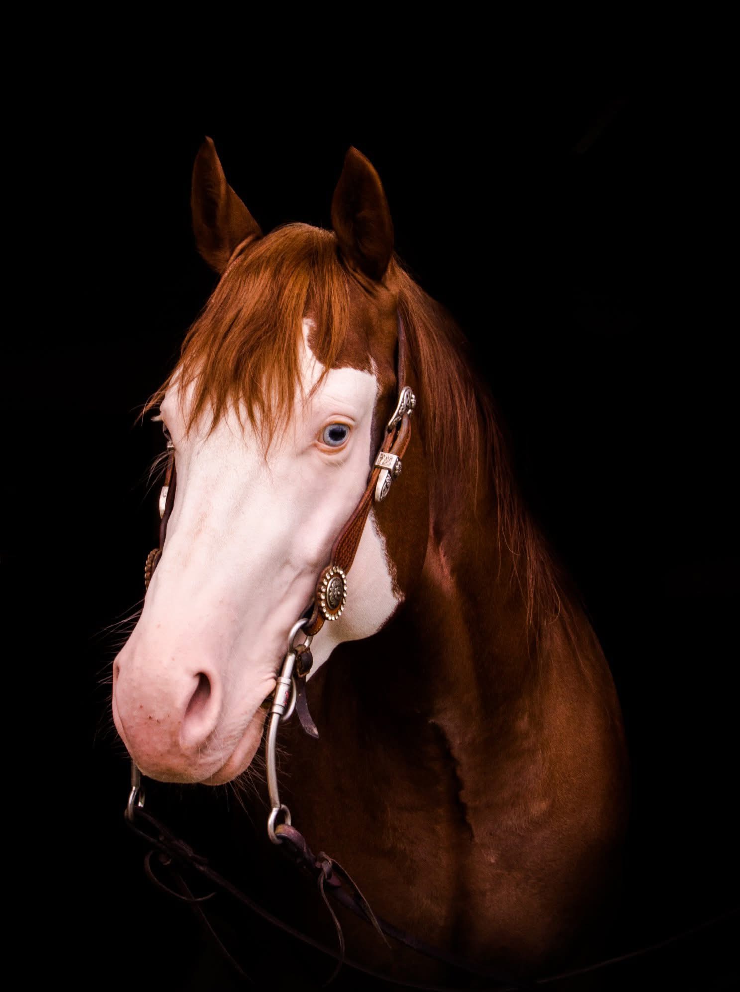 BRIGHT LIKE ADIAMOND